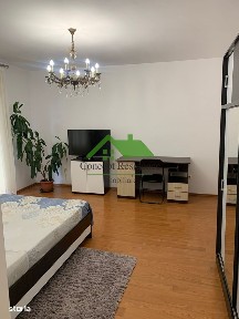Apartament 1 camera modern, Victoriei - zona VIVO
