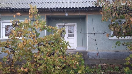 Constanta, Ciobanita