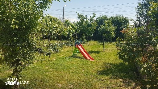 6 Vanatori, Arad