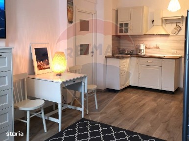 Delfinariu, Constanta