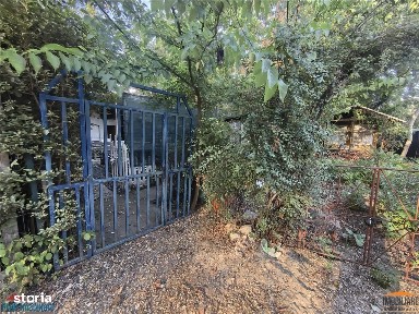 Cabana pe Stradul din Arad aproape de Mures