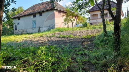 DE VANZARE- GOSPODARIE cu 95 arii teren