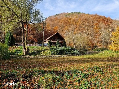 Casa de vacanta in inima naturii - Valea Bratcutei, jud. Bihor