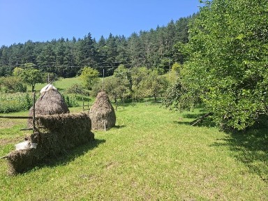 Casa si teren intravilan 5594 mp, utilități, livadă, Grințieș (Neamț)