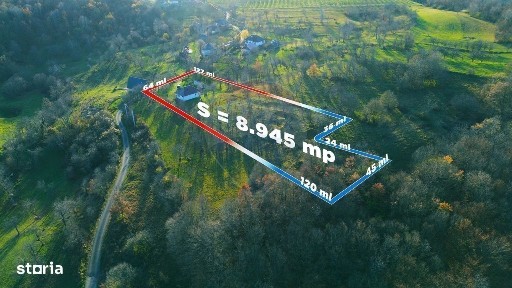 Francenii Boiului, Boiu Mare, Maramures