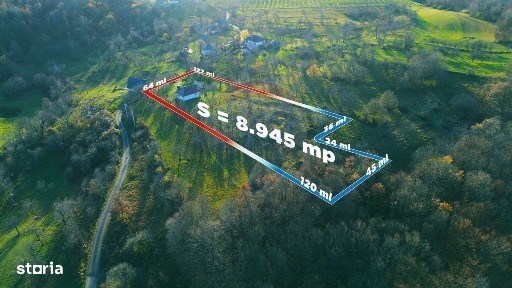 Casa traditionala cu teren 8.945 mp de vanzare | Francenii Boiului |