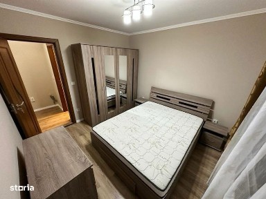 Subcentral, Satu Mare