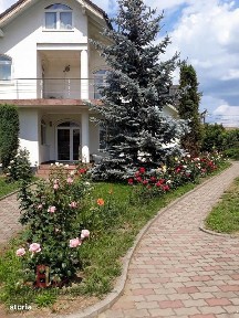 Sangeorgiu De Mures, Mures