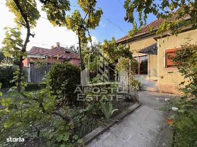 Kogalniceanu, Timisoara, Timis