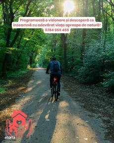 IANCU NICOLAE-3 camere cu gradina privata de 100 mp, mobiler modern, g