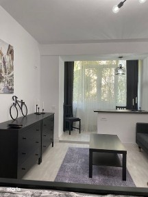DISPONIBIL-Inchiriez studio 35 mp Decebal, Vatra luminoasa, Muncii