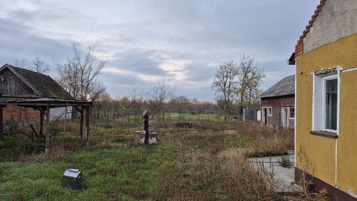 Bihor, Oradea