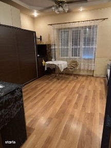 Subcentral, Satu Mare