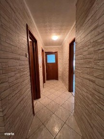 Delfinariu, Constanta