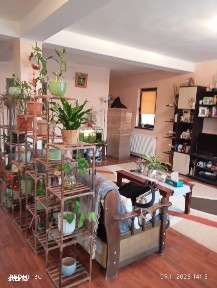 Casa cu 4 camere in Lunca Cetatuii