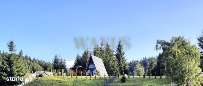 Teren 34,5 ari + cabana A-frame Colibita - ideal pentru resort, spa