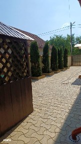 VILA DE INCHIRIAT - LUMINA