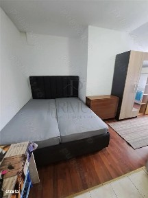 Bucovina, Timisoara, Timis