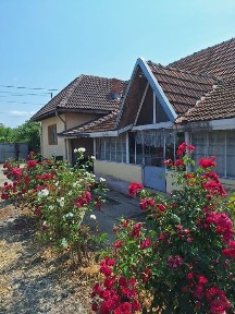 Vand casa în Cornesti noi