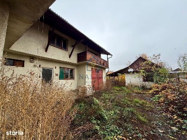 Vasile Alecsandri, Baia Mare, Maramures