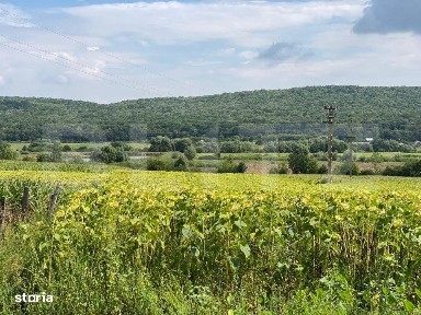 Casa batraneasca cu 6000 mp teren Schitul Duca