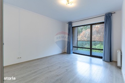 Strada Molidului, Valea Cetatii, Brasov