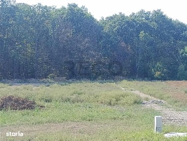 Alparea, Osorhei, Bihor