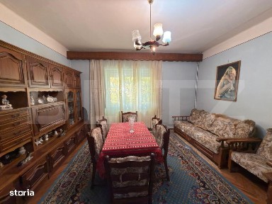 Subcentral, Satu Mare