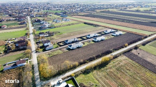 Bercu Rosu, Satu Mare