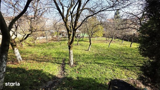 Gruia, Cluj-Napoca, Cluj