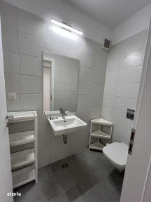 Subcentral, Satu Mare