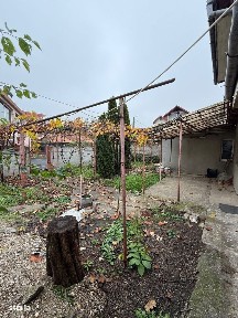 Burdea / Closca, Satu Mare