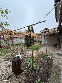 Burdea / Closca, Satu Mare