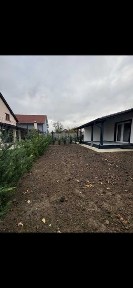 Timis, Sanmihaiu Roman