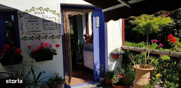 OCAZIE UNICĂ: Casă cu grădină - în cel mai bun loc din Sinaia!