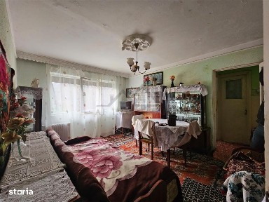 Mircea cel Batran, Iasi