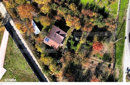 Brazda Lui Novac, Craiova, Dolj