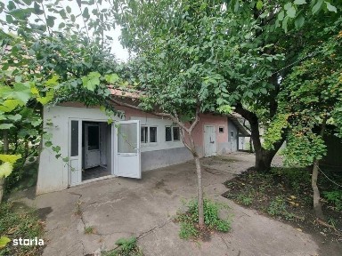 Saveni, Botosani