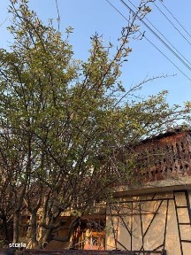 Vand urgent casa+teren Cerna Tulcea 2997 mp