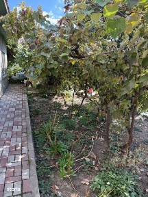 Casa bunicii in Fetesti Gara