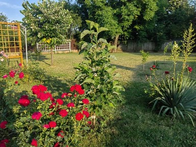 Vand Casa Saftica,Langa Bucuresti Complet Mobilata,cu teren de 1090mp.