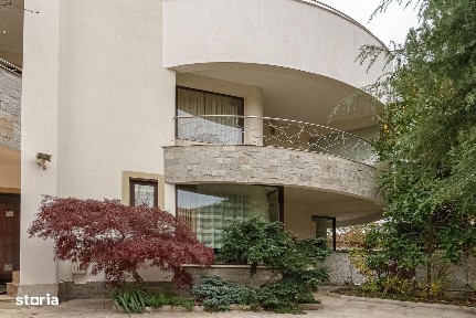 Intrarea Panselelor, Voluntari, Ilfov