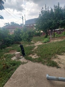 / Casă Zonă Centrală / Rm Sarat