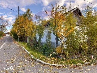 Strada Primaverii, Ocna Sugatag, Maramures