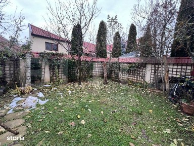 Subcentral, Satu Mare