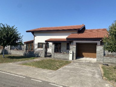 Rauti, Salcâmului 251