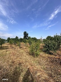 De vanzare casa 3 camere pod plus anexa suprafata Teren 1892mp