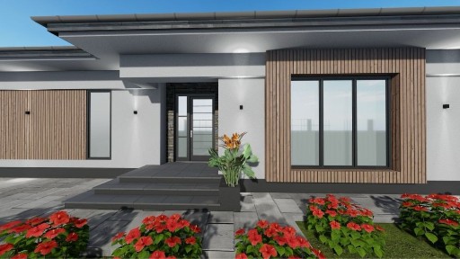 Casa parter la rosu, Satu Nou de Jos