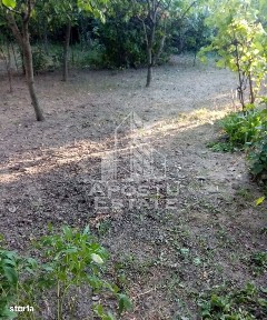 Elisabetin, Timisoara, Timis