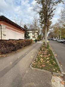 Apartamente. casa de închiriat la întrare in Copou, lângă